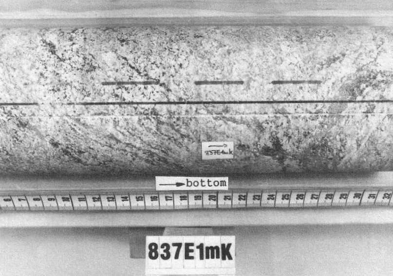 Leucocratic garnet-biotite gneiss with granular fabric