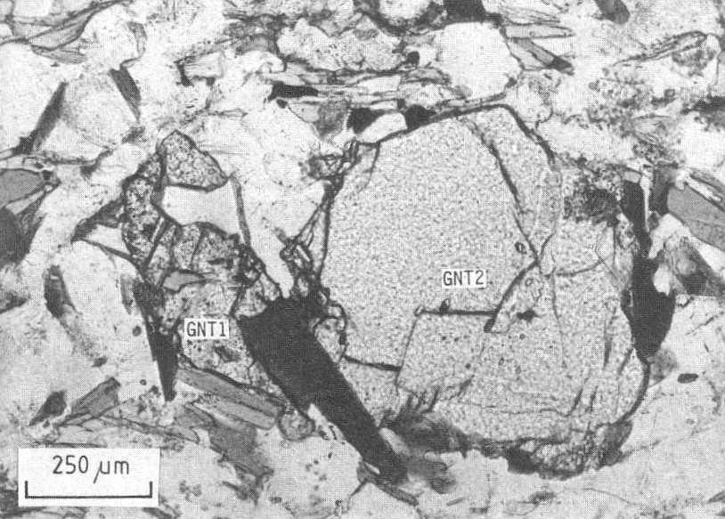 Garnet-kyanite-biotite gneiss with different garnet types