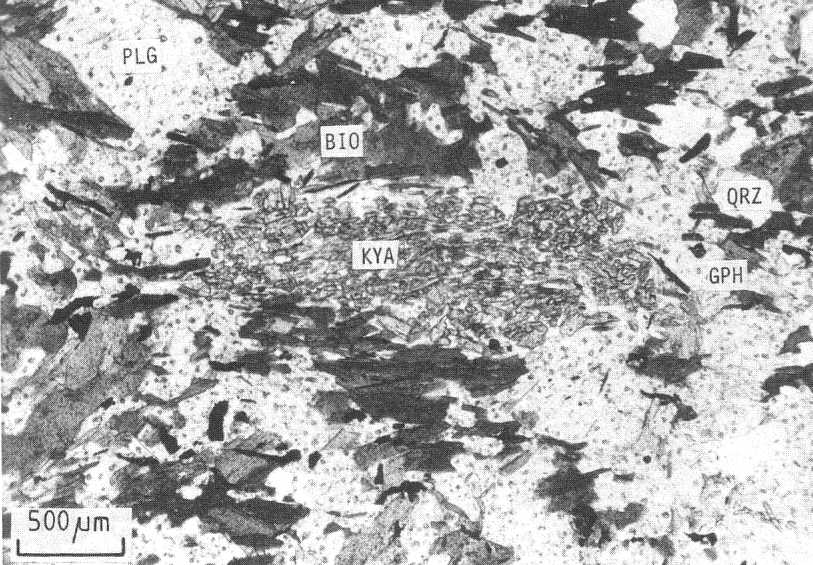 Graphite-bearing garnet-Al2SiO5-biotite gneiss