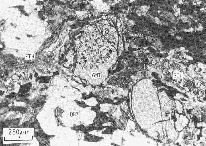 Garnet-Al2SiO5-biotite gneiss