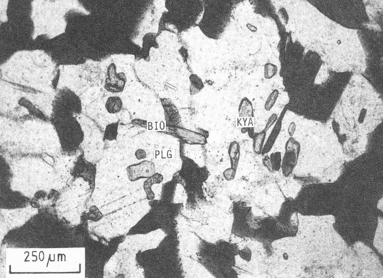 Garnet-Al2SiO5-biotite gneiss. Relictic kyanite grains within plagioclase
