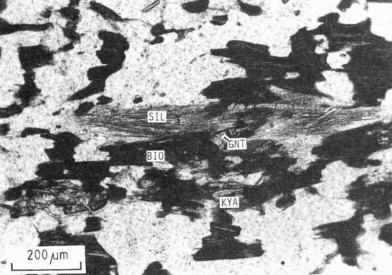 Garnet-Al2SiO5-biotite gneiss