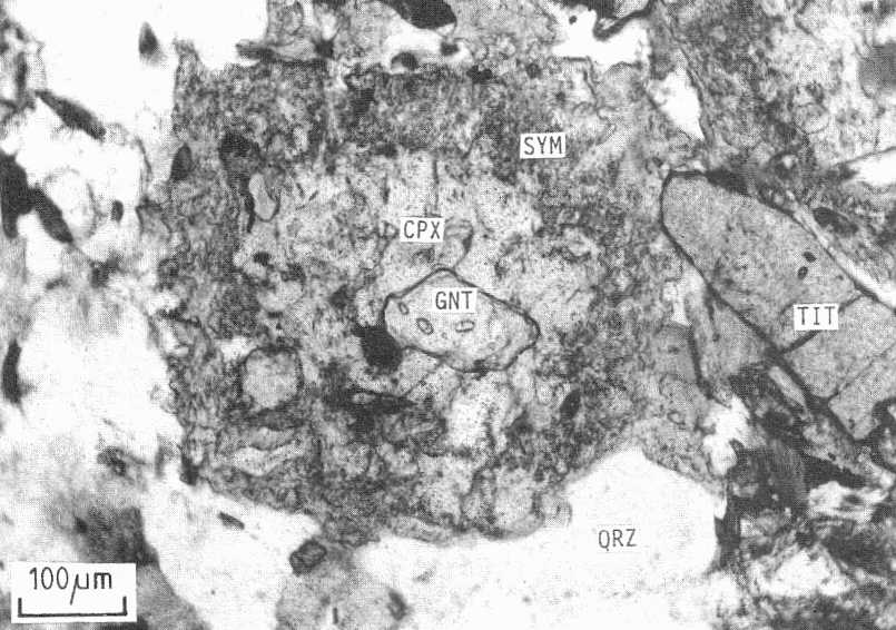 Clinopyroxene-garnet-hornblende-biotite gneiss