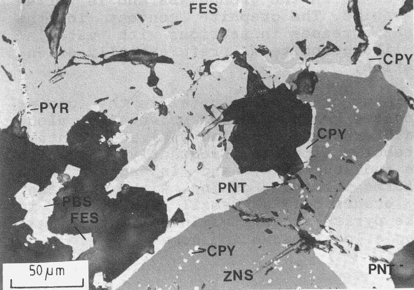 Complex aggregate of pyrrhotite  with flame-like pentlandite  exsolutions