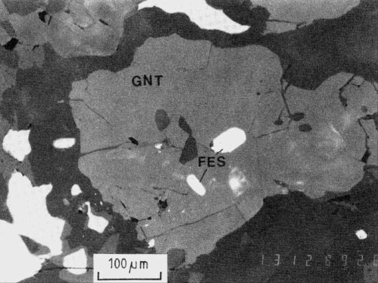 Rounded pyrrhotite inclusions in garnet 