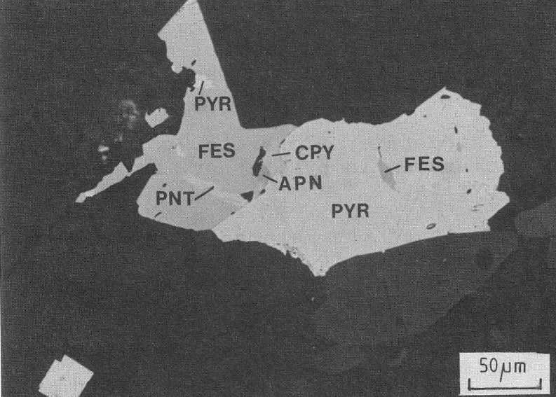 Pyrite and pyrrhotite with pentlandite  exsolutions