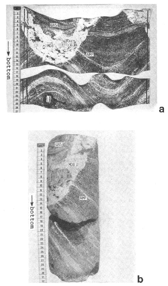 Unrolled cylinder mantle  and normal photograph of two core pieces