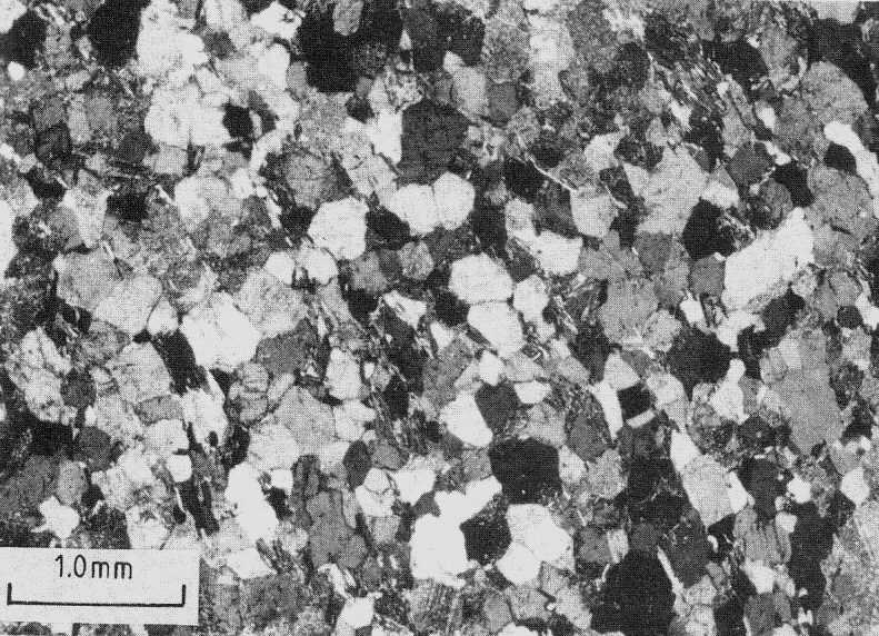 Plagioclase aggregate in gneiss