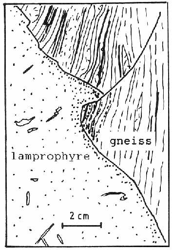 Small scale reverse fault in paragneiss is cut off by lamprophyre