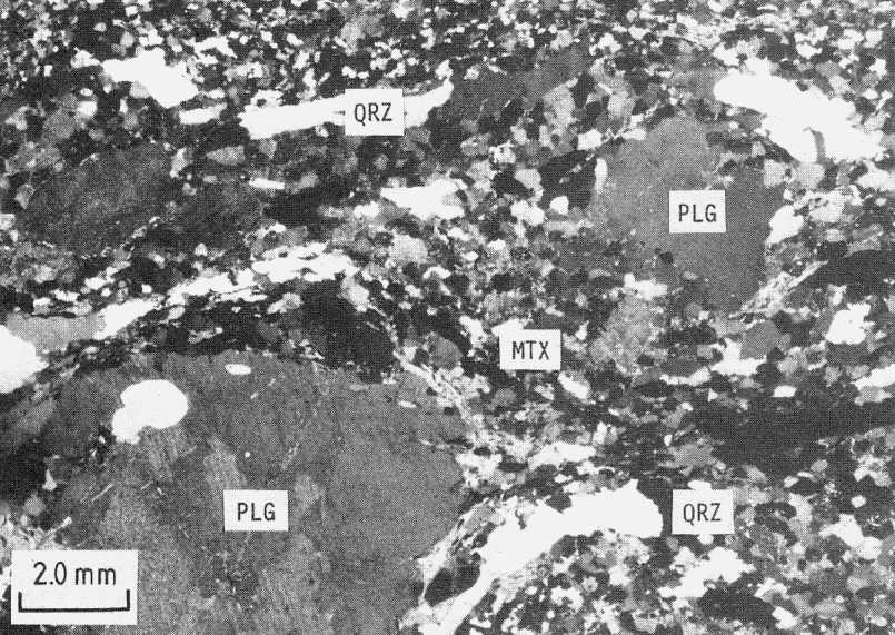 Plagioclase clasts  in gneiss